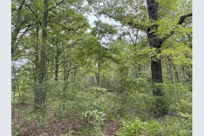 Lot 25 Rains County Road 2610, Alba, TX 75410 - Photo 11