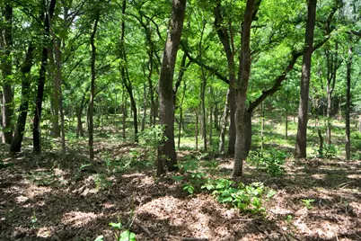 322 Grigg Road, Sherman, TX 75090 - Photo 17