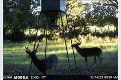 13000 Chalk Mountain Highway, Bluff Dale, TX 76433 - Photo 31