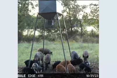 13000 Chalk Mountain Highway, Bluff Dale, TX 76433 - Photo 33