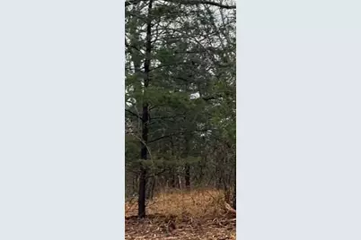 1291 Rs Cr 1150, Emory, TX 75440 - Photo 3