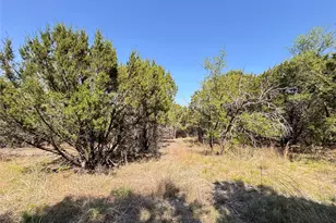 1036 Creek Crossing Rd, Glen Rose, TX 76070 - Photo 1