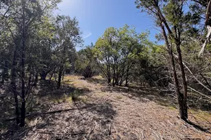 1036 Creek Crossing Rd, Glen Rose, TX 76070 - Photo 5