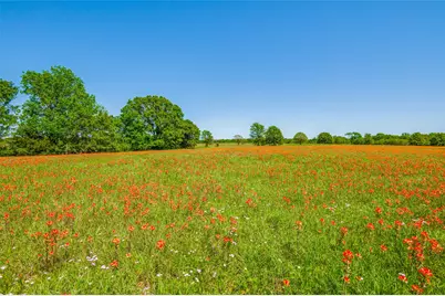 Lot 44 Paradise Cov, Streetman, TX 75859 - Photo 1