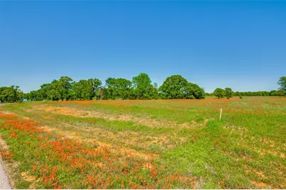 Lot 44 Paradise Cov, Streetman, TX 75859 - Photo 9