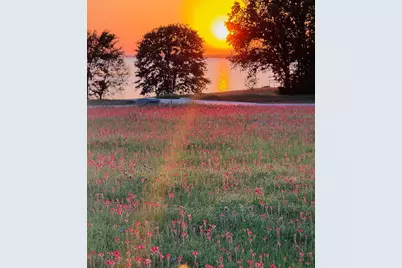 Lot 44 Paradise Cov, Streetman, TX 75859 - Photo 5