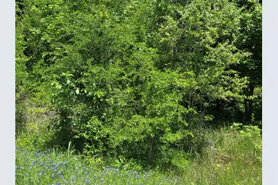 Lot 10 SE Cr 3258, Kerens, TX 75144 - Photo 3