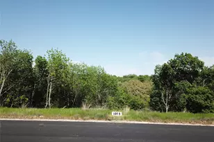 149 Hanna Oak Ct, Bridgeport, TX 76426 - Photo 1