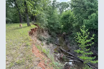 72 Ac N Farm Road 900 N, Saltillo, TX 75478 - Photo 37