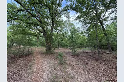 72 Ac N Farm Road 900 N, Saltillo, TX 75478 - Photo 39