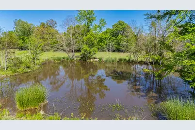 72 Ac N Farm Road 900 N, Saltillo, TX 75478 - Photo 3