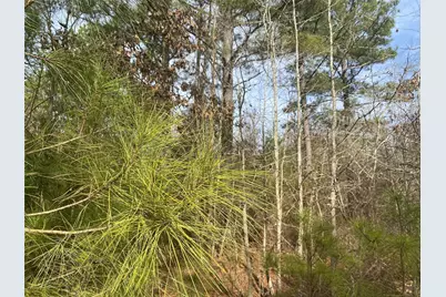 0000 Cr 2622, Marietta, TX 75566 - Photo 3