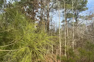 0000 Cr 2622, Marietta, TX 75566 - Photo 3