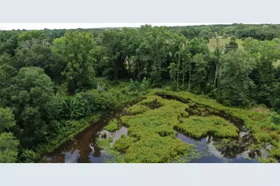 11529 Fm 1615, Athens, TX 75752 - Photo 5