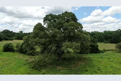 11529 Fm 1615, Athens, TX 75752 - Photo 13