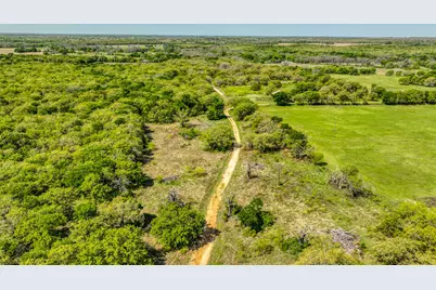 517 County Road 1364, Itasca, TX 76055 - Photo 3
