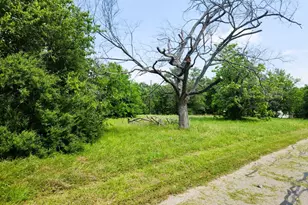 142 Boshart Way, Gun Barrel City, TX 75156 - Photo 1