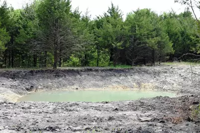 730 Cheyenne Trail, Trenton, TX 75490 - Photo 9