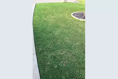 351 Peachtree Lane, Princeton, TX 75407 - Photo 35