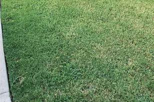 351 Peachtree Ln, Princeton, TX 75407 - Photo 35