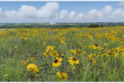 4500 White Settlement Road, Willow Park, TX 76087 - Photo 3