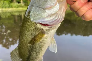 690 County Rd 15560, Paris, TX 75462 - Photo 35