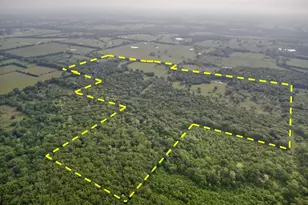 690 County Rd 15560, Paris, TX 75462 - Photo 3