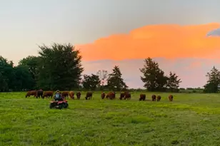 690 County Rd 15560, Paris, TX 75462 - Photo 33