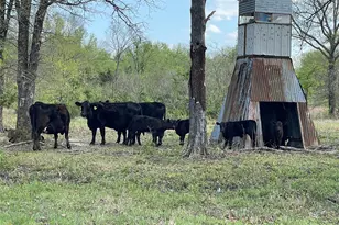 690 County Rd 15560, Paris, TX 75462 - Photo 37