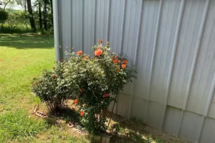 248 Rs County Rd 1490, Point, TX 75472 - Photo 21