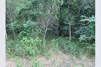 4005 County Rd 2825, Honey Grove, TX 75446 - Photo 11