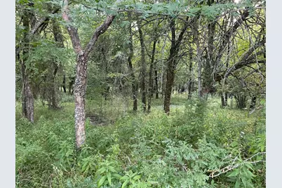 4005 County Rd 2825, Honey Grove, TX 75446 - Photo 7