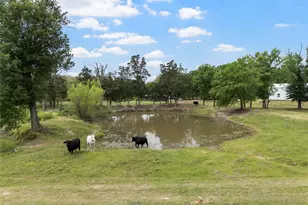 237 Lcr 711, Kosse, TX 76653 - Photo 37