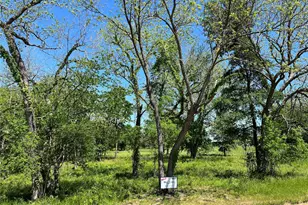 345 Wildflower Wy, Dodd City, TX 75438 - Photo 1