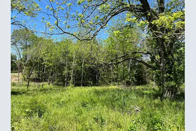 345 Wildflower Way, Dodd City, TX 75438 - Photo 11