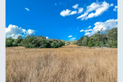 0000 County Road 237, Oakwood, TX 75855 - Photo 5