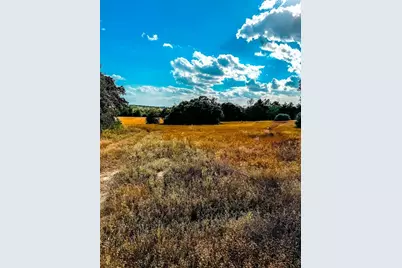 0000 County Road 237, Oakwood, TX 75855 - Photo 7