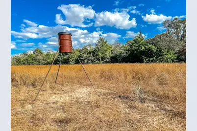 0000 County Road 237, Oakwood, TX 75855 - Photo 1