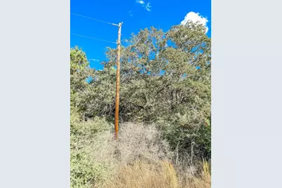 0000 County Road 237, Oakwood, TX 75855 - Photo 3