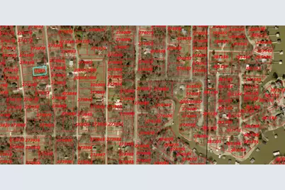 1081 Pearl Harbor Street, Tool, TX 75751 - Photo 3