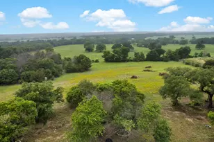 830 Louis Scherer Rd, Weatherford, TX 76088 - Photo 33