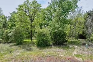 8950 Timber Ridge, LaRue, TX 75770 - Photo 1