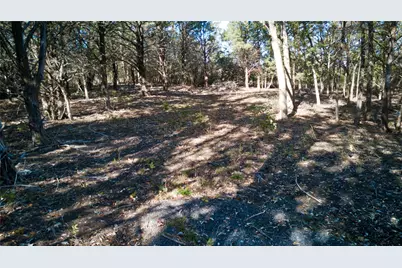 2624 County Road 2975, Windom, TX 75492 - Photo 13