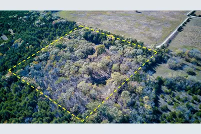 2624 County Road 2975, Windom, TX 75492 - Photo 5