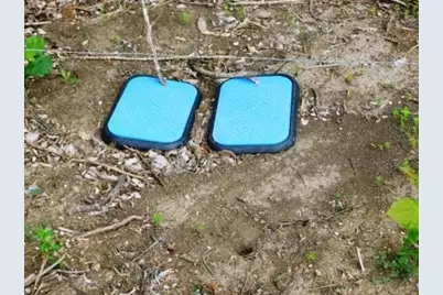 2624 County Road 2975, Windom, TX 75492 - Photo 1