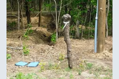 2624 County Road 2975, Windom, TX 75492 - Photo 19