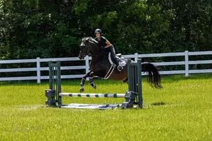 4390 Stonebridge, Athens, TX 75751 - Photo 37