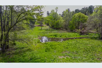 00 Fm 315, LaRue, TX 75770 - Photo 9