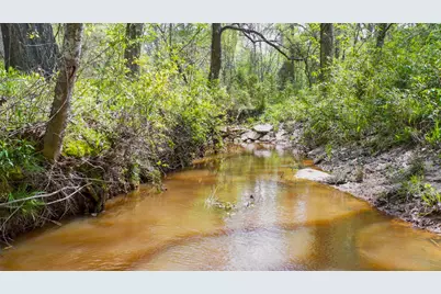 00 Fm 315, LaRue, TX 75770 - Photo 11