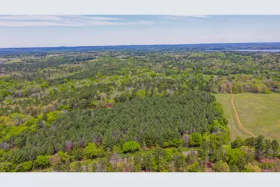 00 Fm 315, LaRue, TX 75770 - Photo 5